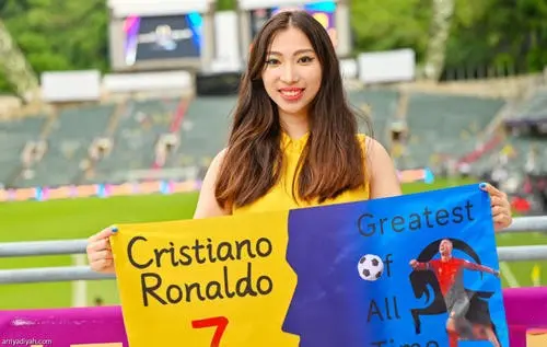 烈欢迎, 但这并未平, 的遭遇截然