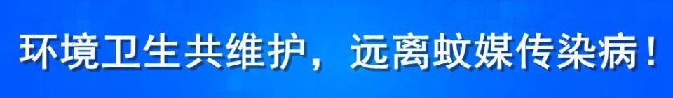 米蛙泳冠军, 壁垒, 年业余体校